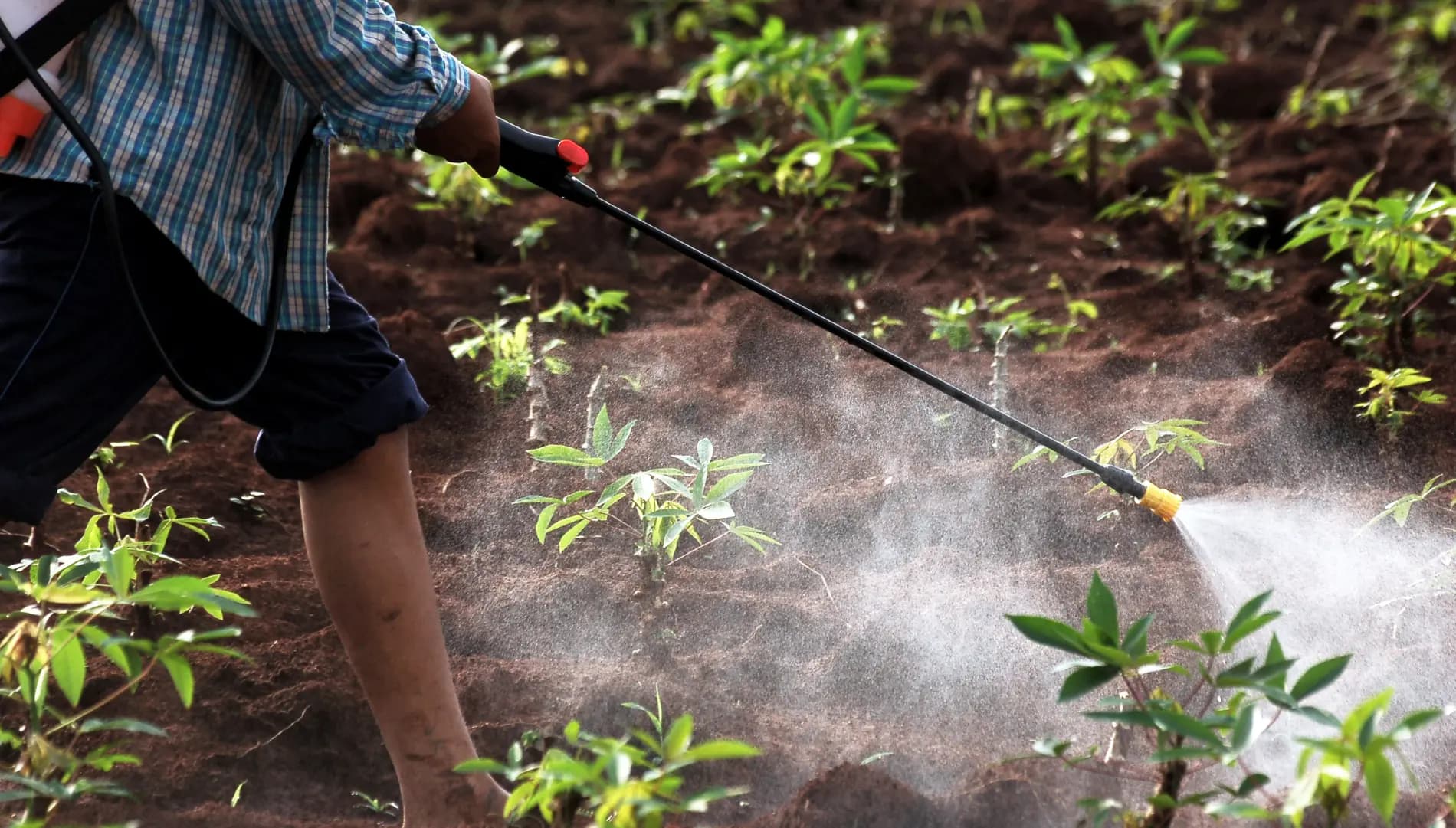 أكثر من 25 عاماً من الخبرة