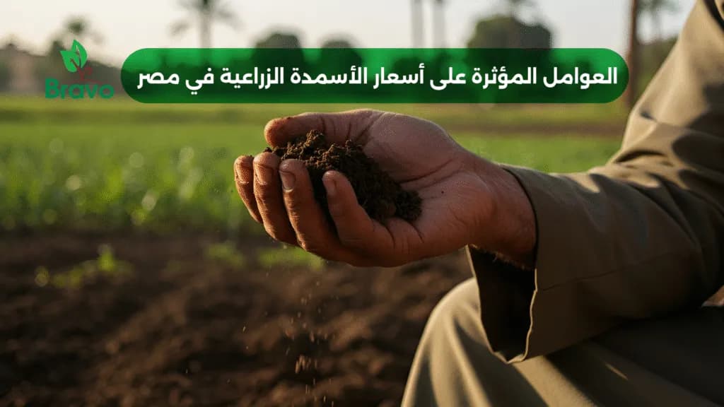 دليلك الشامل لـ أسعار الأسمدة الزراعية في مصر