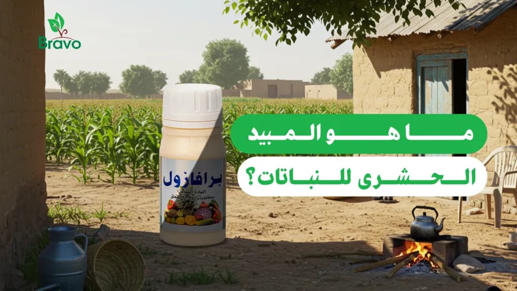 ما هو أفضل مبيد حشري للنباتات؟