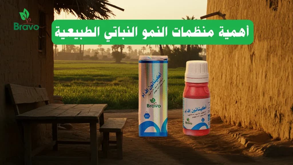 منظمات النمو النباتي الطبيعية | حلول آمنة ومستدامة من برافو للأسمدة