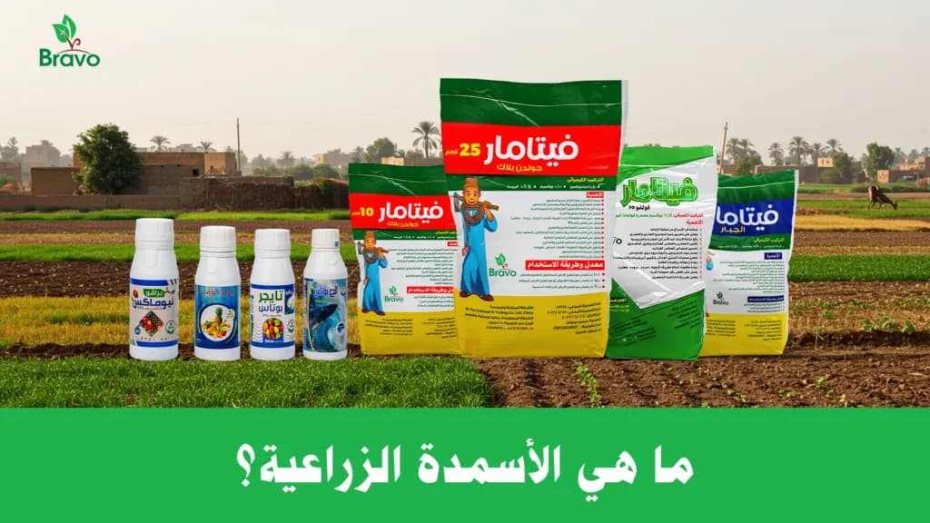 دليلك لاختيار أفضل أماكن بيع السماد العضوي في مصر لمزرعتك