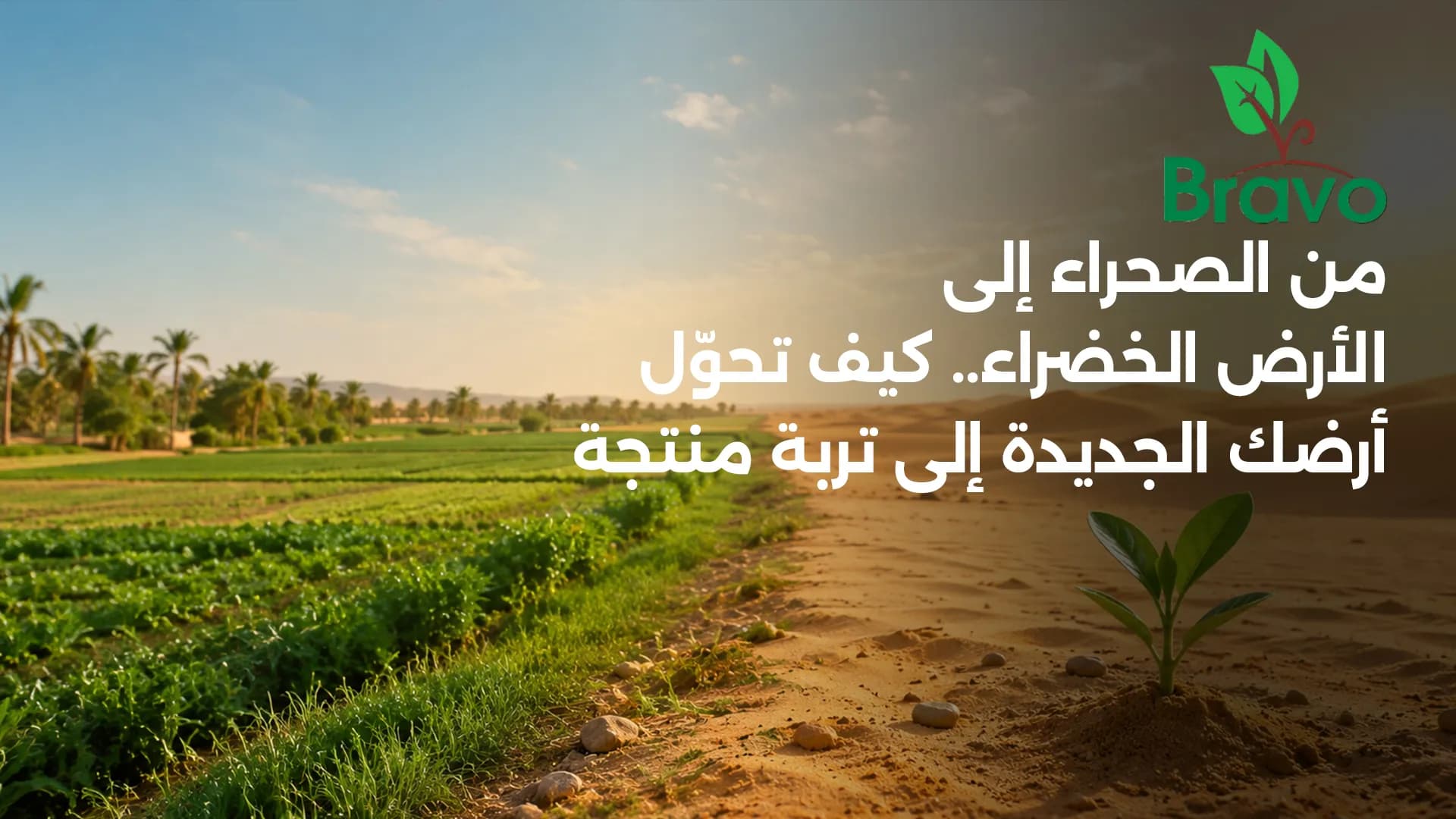 هل الأسمدة العضوية تناسب الأراضي الجديدة والصحراوية؟ | برافو