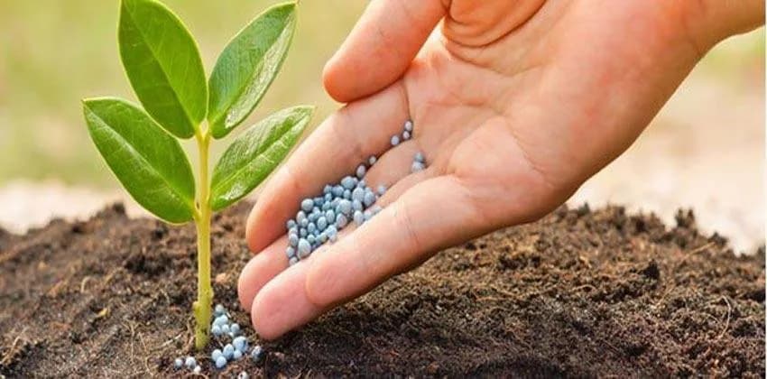 تعرف على أفضل شركات الأسمدة في مصر لأسمدة أصلية 100%