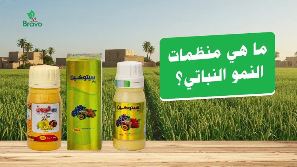 أفضل منظمات نمو نباتي في مصر من برافو