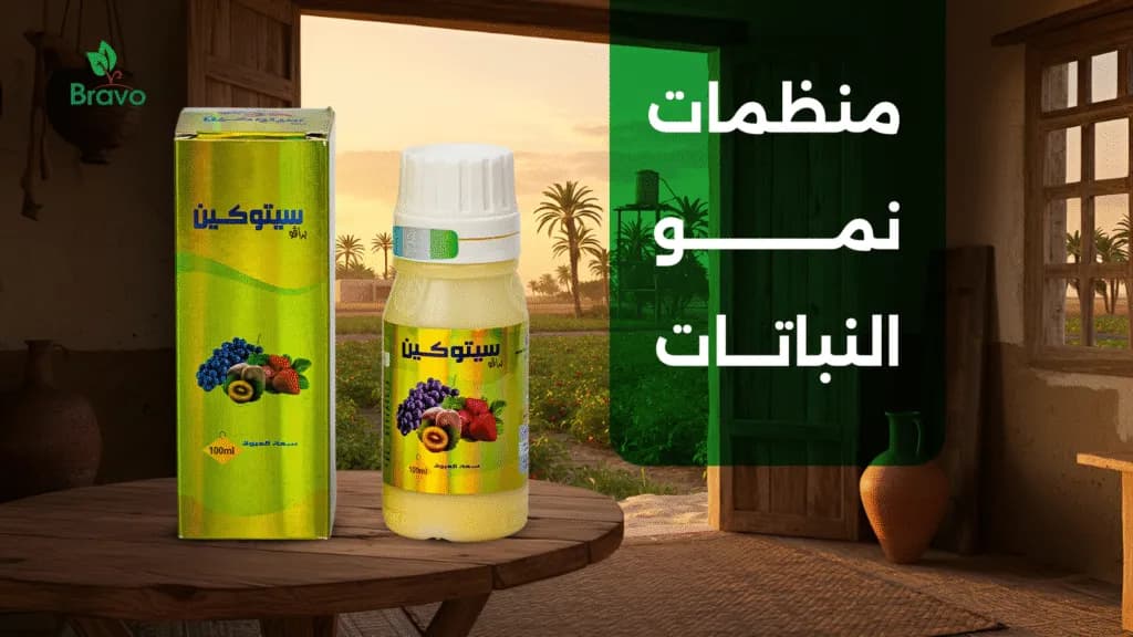 منظمات نمو النباتات | أفضل منتجات لتحفيز نمو المحاصيل من شركة برافو للأسمدة