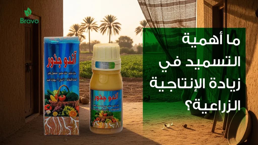 أفضل سماد لزيادة الإنتاجية | حلول برافو للأسمدة لتحقيق محصول وفير وجودة أعلى