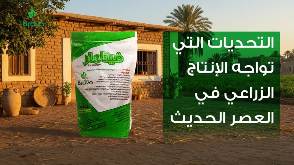حلول لزيادة الإنتاج الزراعي | أسمدة ومخصبات فعّالة من برافو لزراعة أكثر إنتاجًا