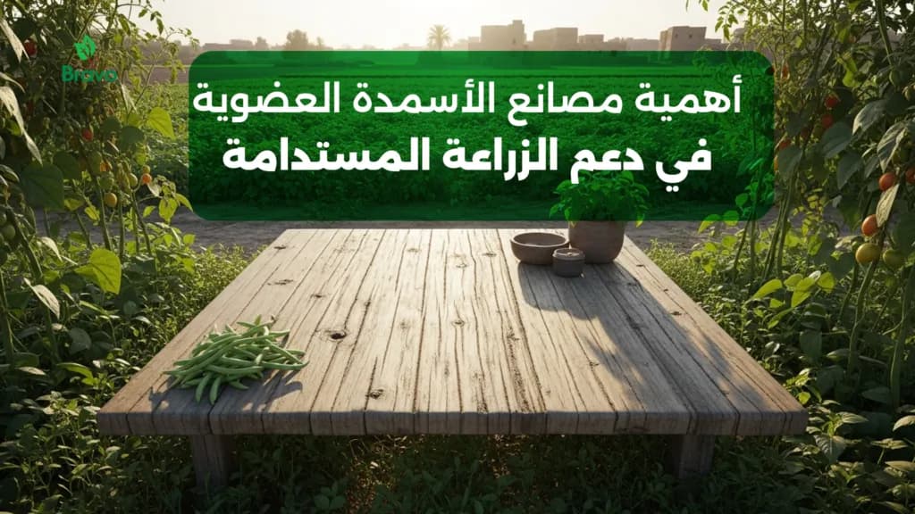 دليلك الشامل عن أفضل مصانع الأسمدة العضوية في مصر