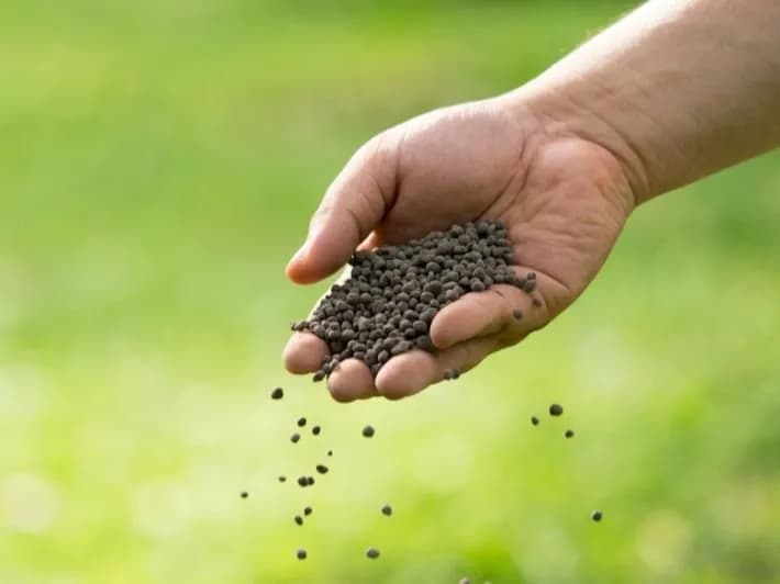 أفضل أسمدة للزراعة في مصر لتحقيق إنتاجية عالية وجودة مستدامة