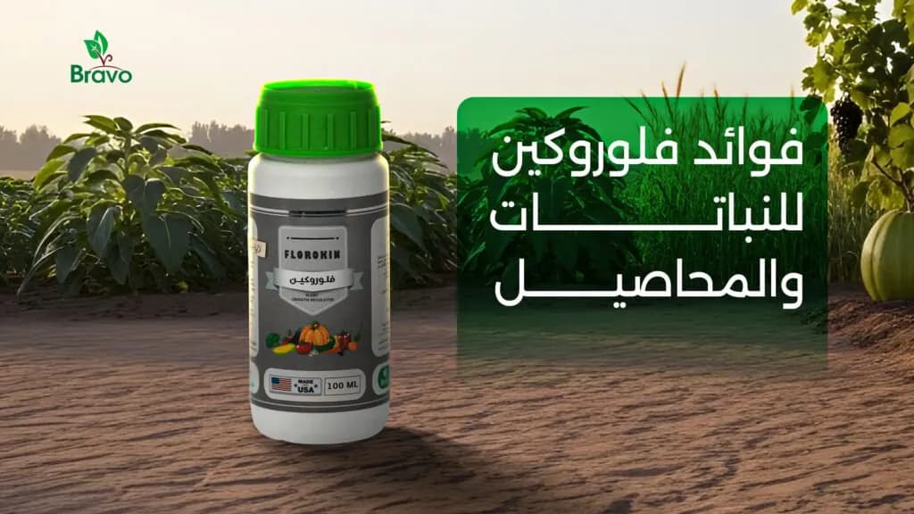 فلوروكين مبيد لزيادة حجم الثمار وتحسين جودة المحصول
