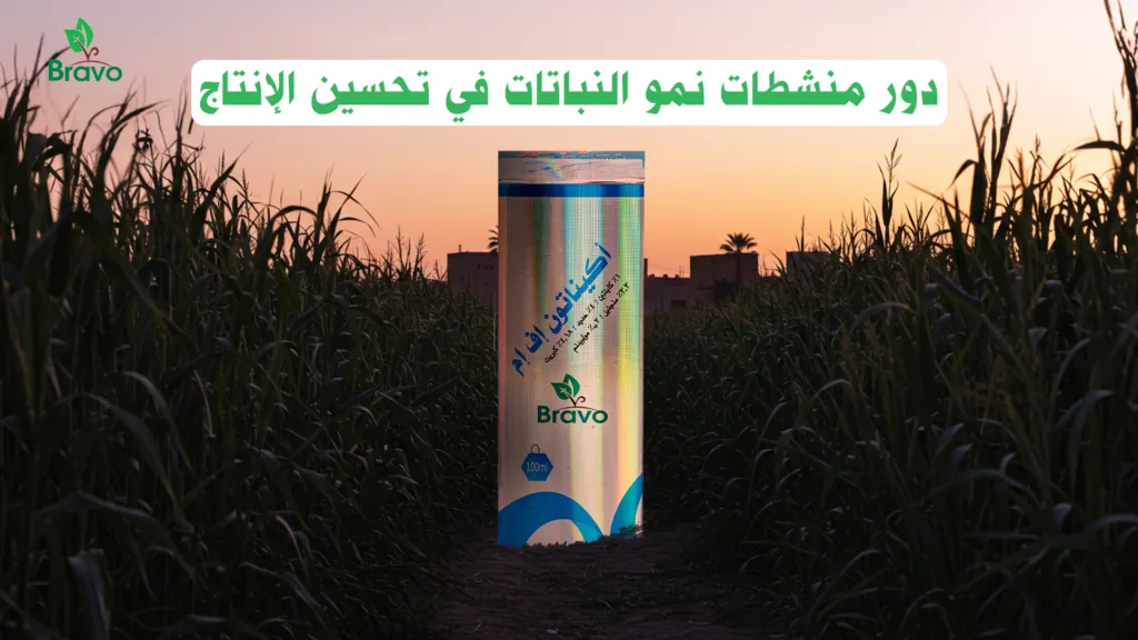  دور منشطات نمو النباتات الطبيعية  في تحسين الإنتاج