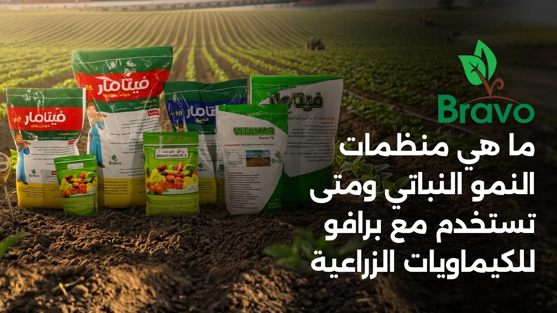 ما هي منظمات النمو النباتي ومتى تستخدم مع برافو للكيماويات الزراعية