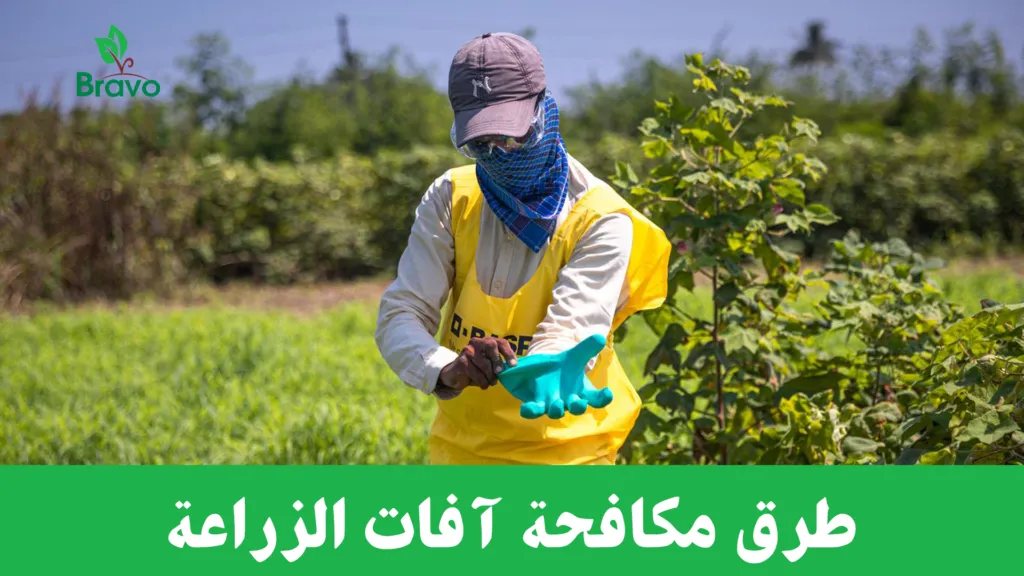 طرق مكافحة آفات الزراعة