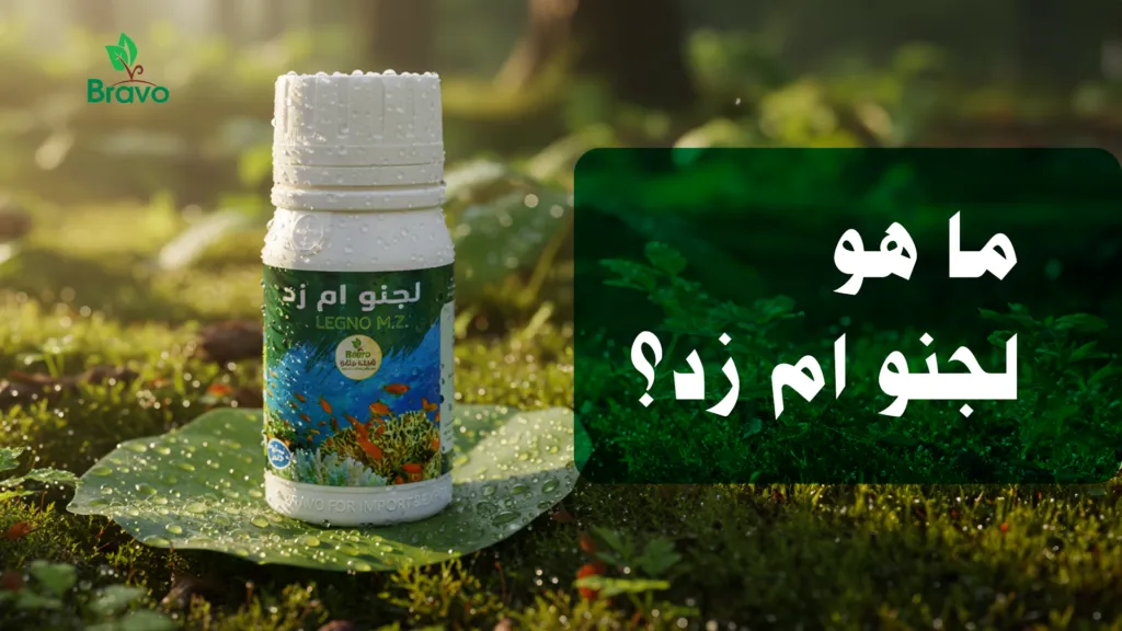 ما هو لجنو ام زد؟