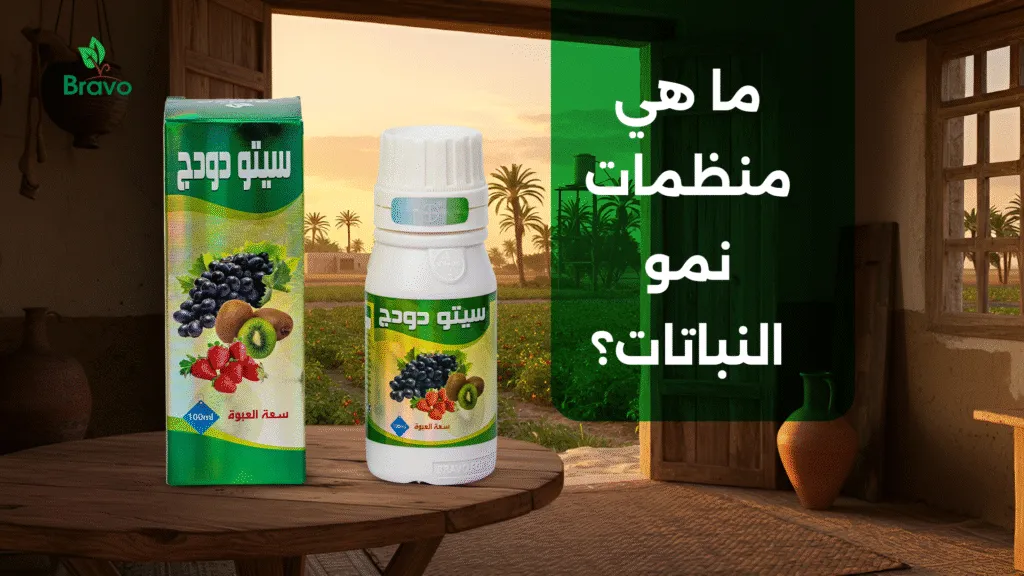 ما هي مواصفات الأسمدة الزراعية عالية الجودة؟