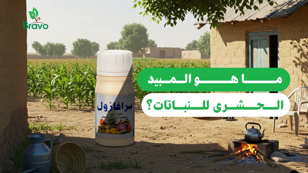 ما هو المبيد الحشري للنباتات