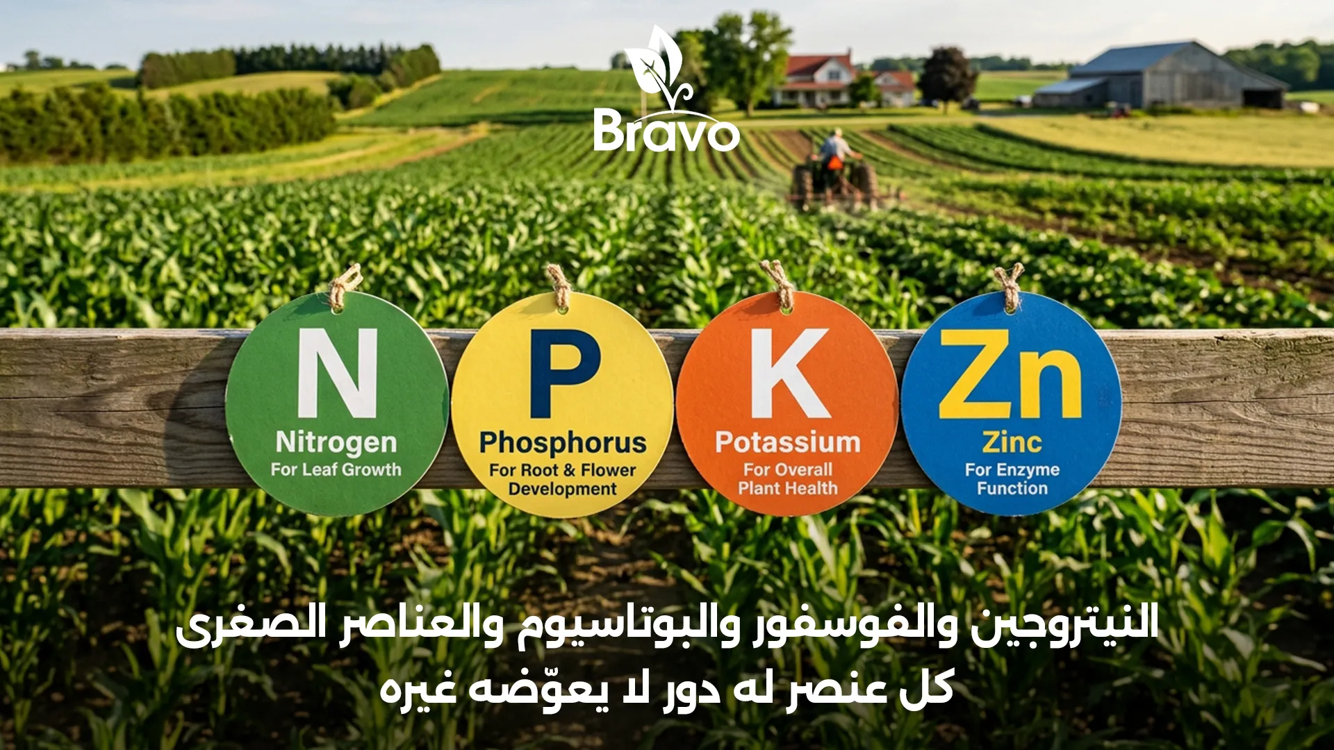العناصر الغذائية الأساسية لنمو النبات: النيتروجين والفوسفور والبوتاسيوم والعناصر الصغرى