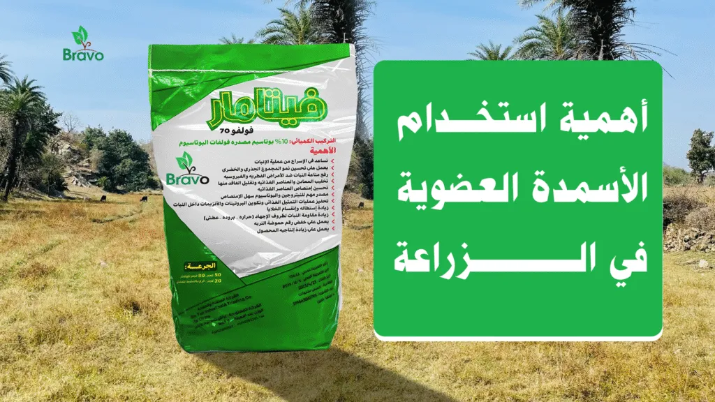 أهمية استخدام الأسمدة العضوية في الزراعة