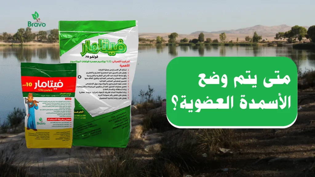 متى يتم وضع الأسمدة العضوية؟