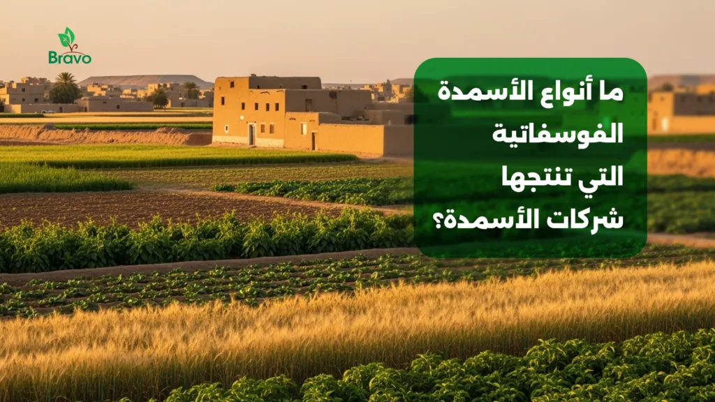 ما أنواع الأسمدة الفوسفاتية التي تنتجها شركات الأسمدة؟