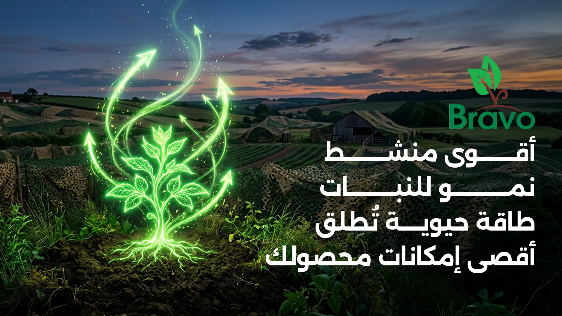 أقوى منشط نمو للنبات مع برافو للكيماويات الزراعية