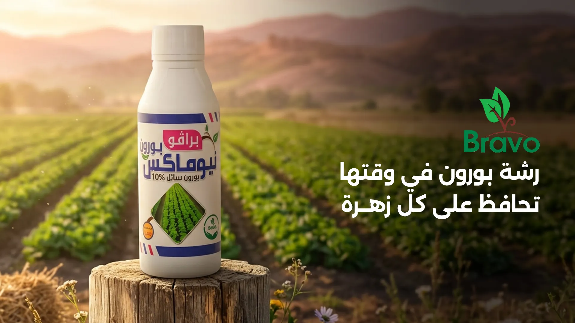 رش الأزهار بالبورون والكالسيوم لمنع تساقط الثمار