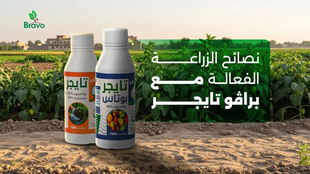 نصائح الزراعة الفعالة مع براڤو تايجر