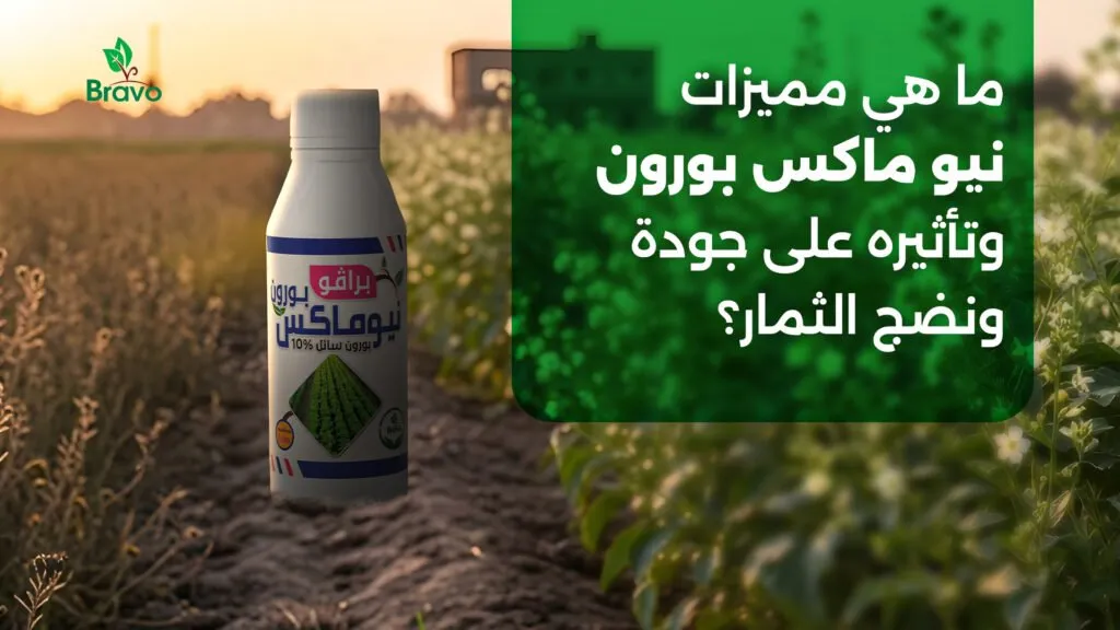ما هي مميزات نيو ماكس بورون وتأثيره على جودة ونضج الثمار؟