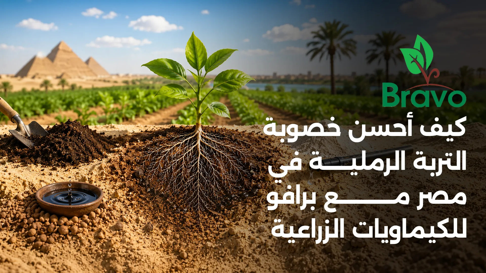 كيف أحسن خصوبة التربة الرملية في مصر مع برافو للكيماويات الزراعية