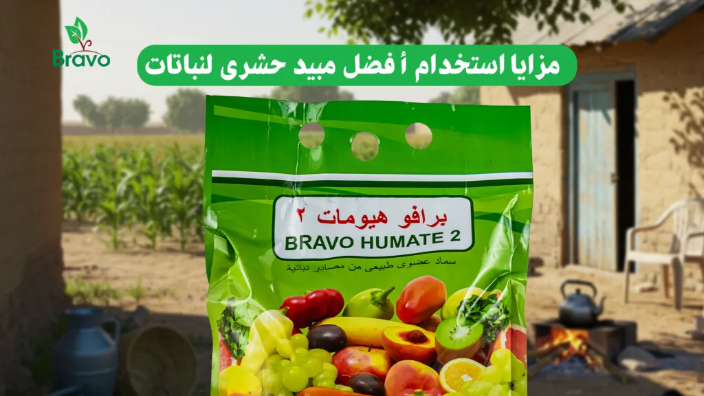 مزايا استخدام أفضل مبيد حشري لنباتات