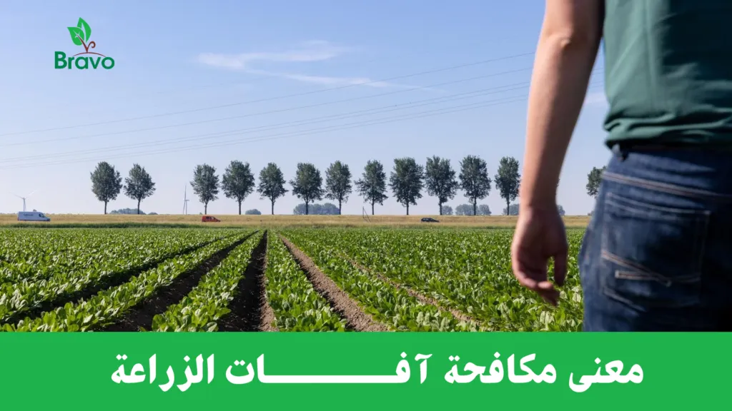 معنى مكافحة آفات الزراعة