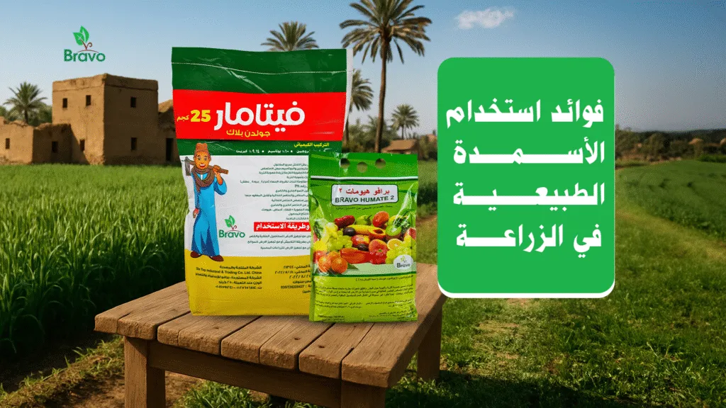 فوائد استخدام الأسمدة الطبيعية في الزراعة  