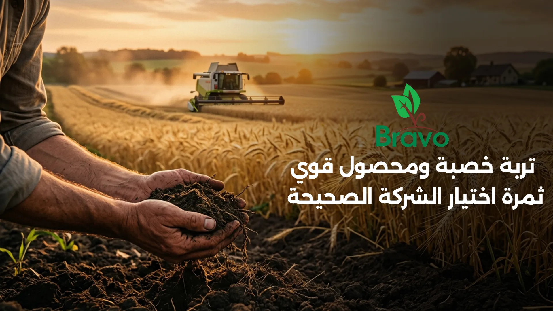 تربة خصبة ومحصول قوي نتيجة اختيار شركة أسمدة موثوقة