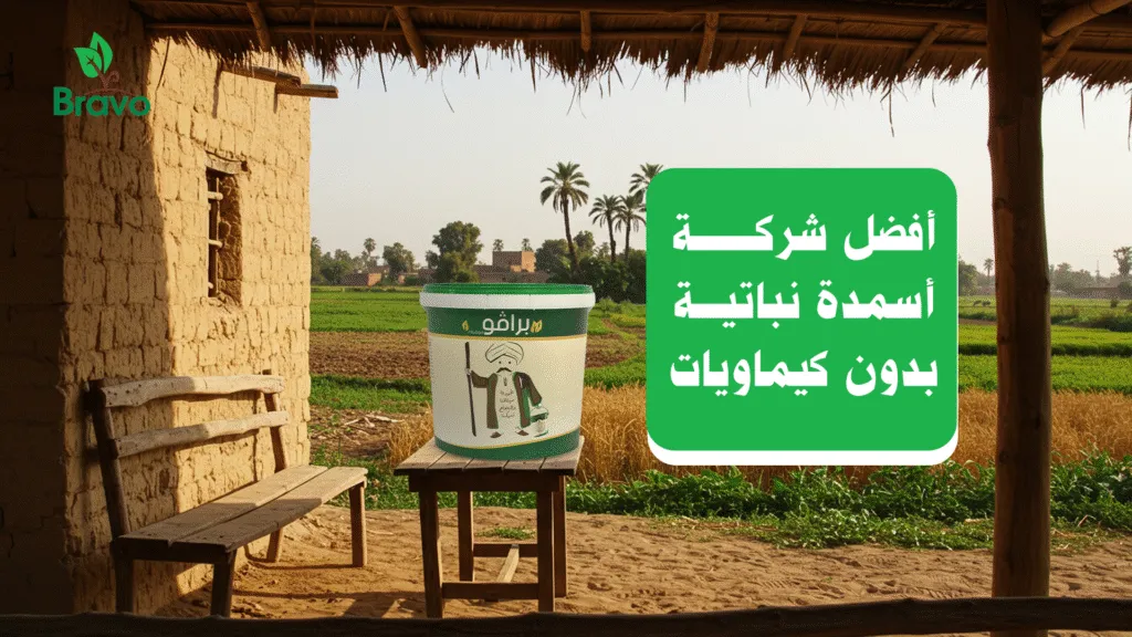 أفضل شركة أسمدة نباتية بدون كيماويات     