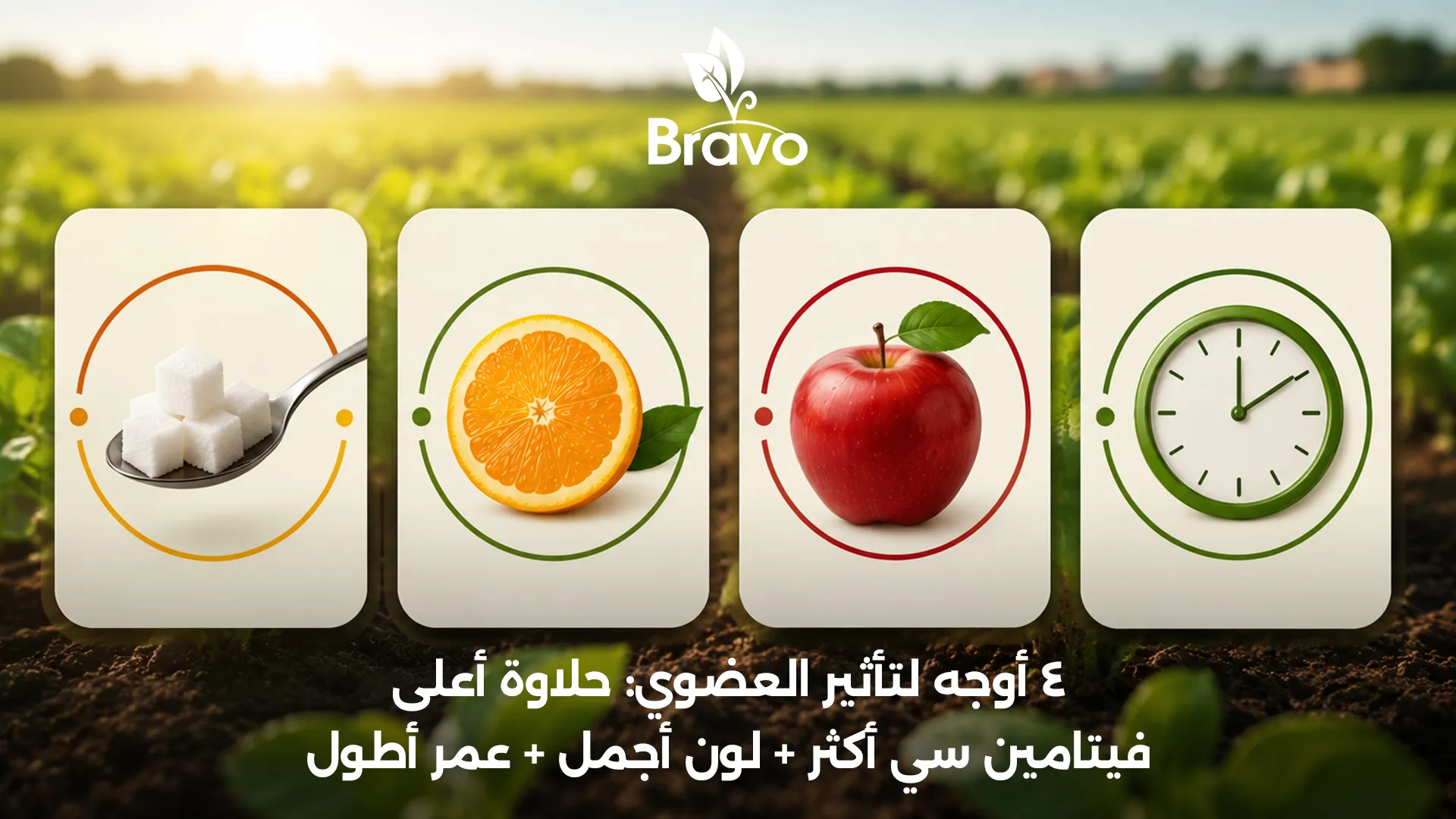 تأثير الأسمدة العضوية على الحلاوة وفيتامين سي واللون وعمر الثمار