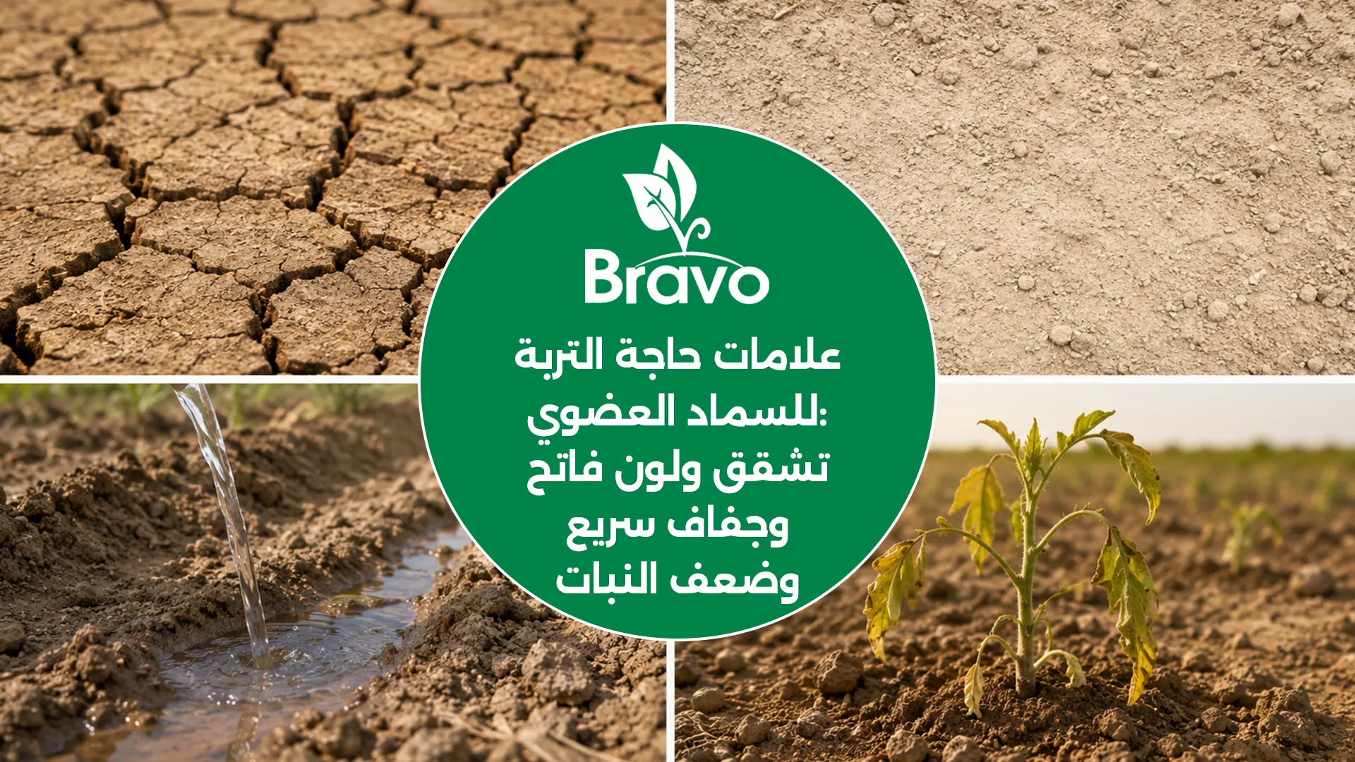 علامات حاجة التربة للسماد العضوي: تماسك وتشقق، لون فاتح، جفاف سريع، وضعف النبات