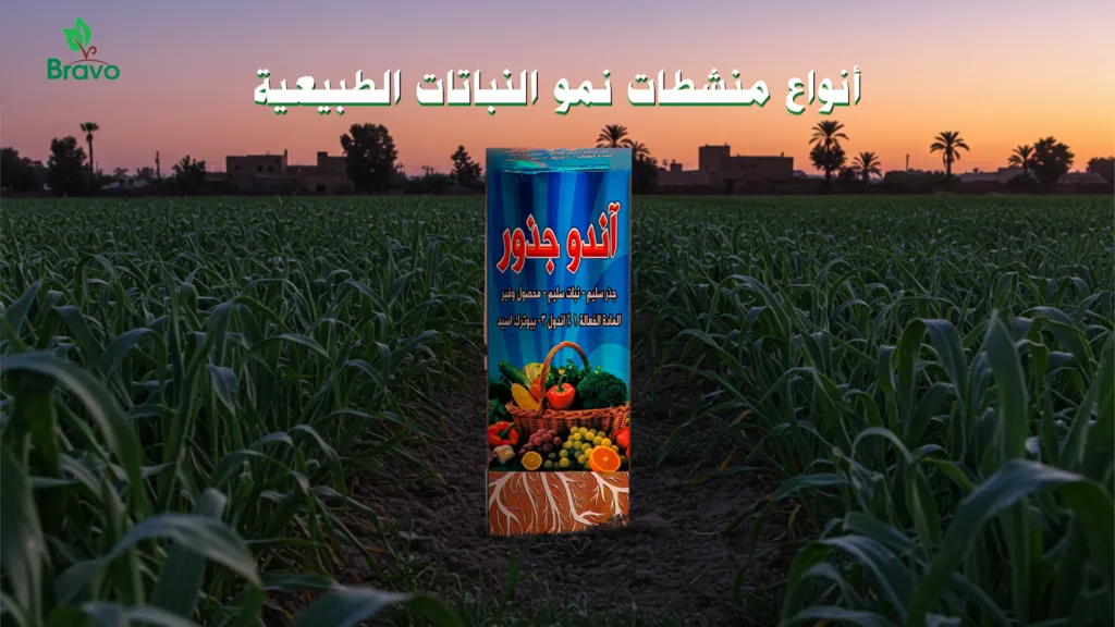 أنواع منشطات نمو النباتات الطبيعية