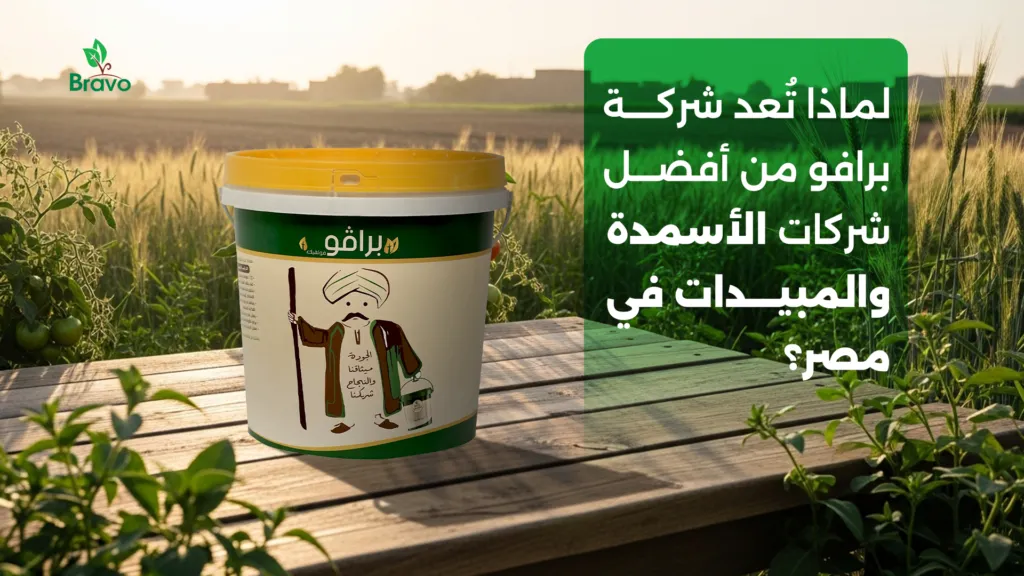 لماذا تُعد شركة برافو من أفضل شركات الأسمدة والمبيدات في مصر؟