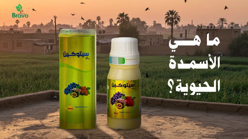 ما هي الأسمدة الحيوية؟