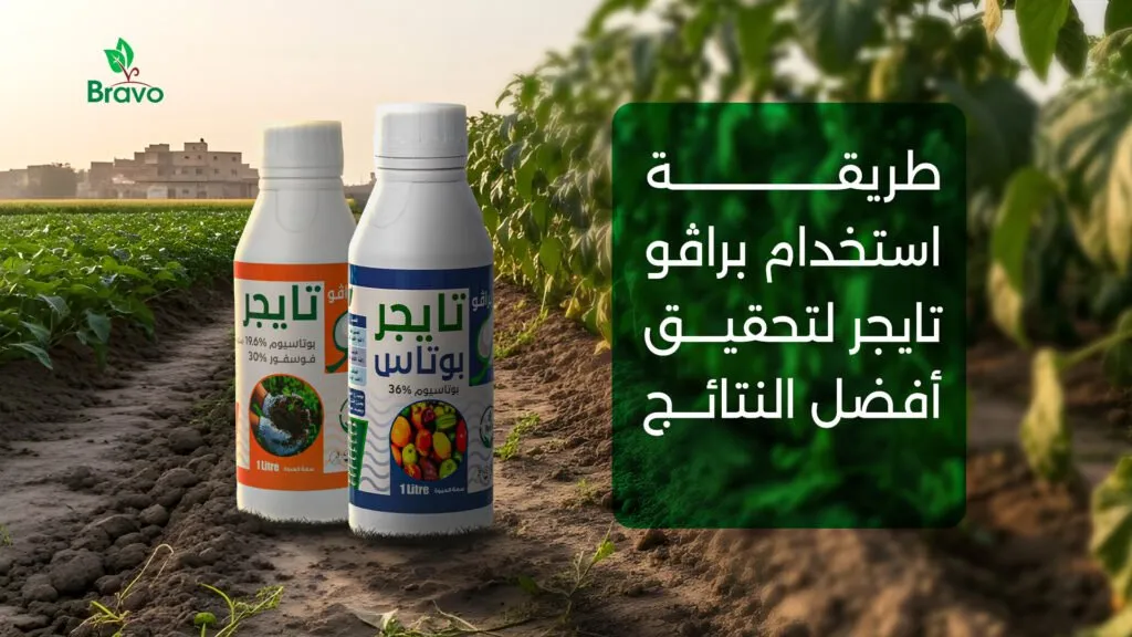 طريقة استخدام سيتوفالي مخصب للحصول على أفضل النتائج