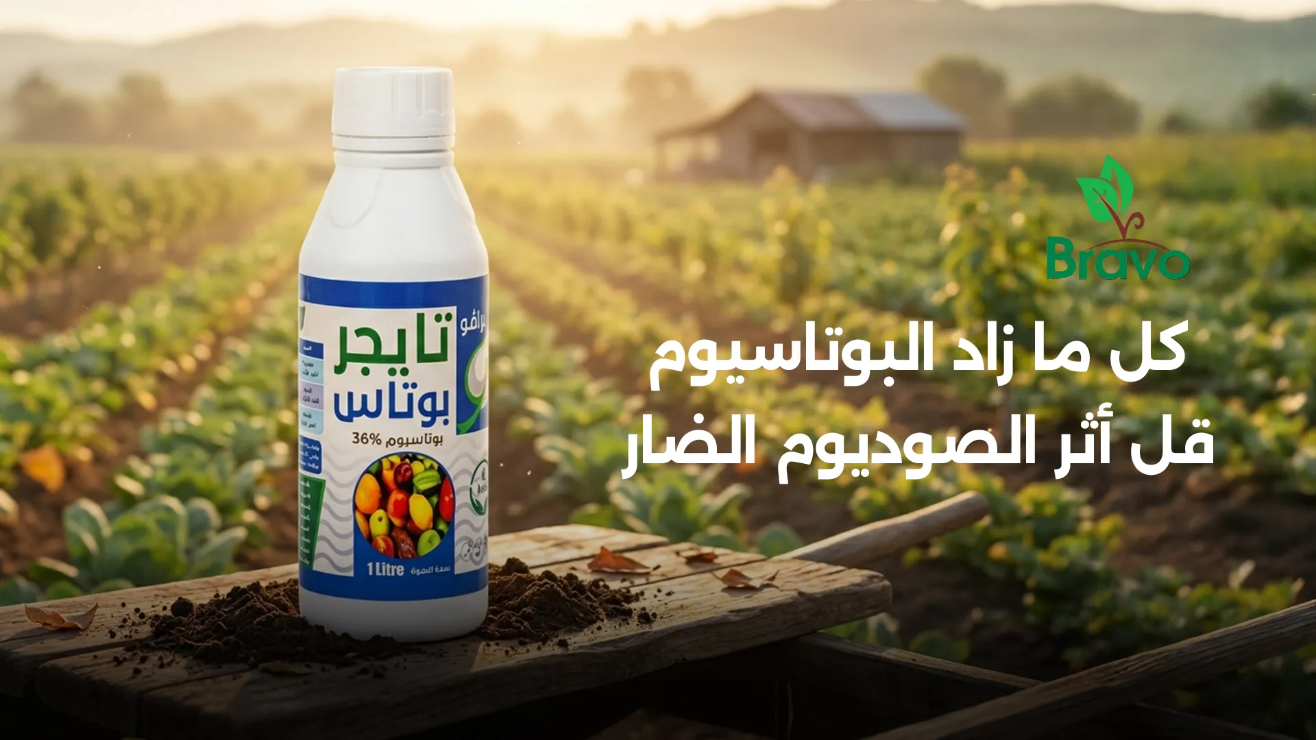 توازن البوتاسيوم والصوديوم عند جذور النبات في التربة المالحة