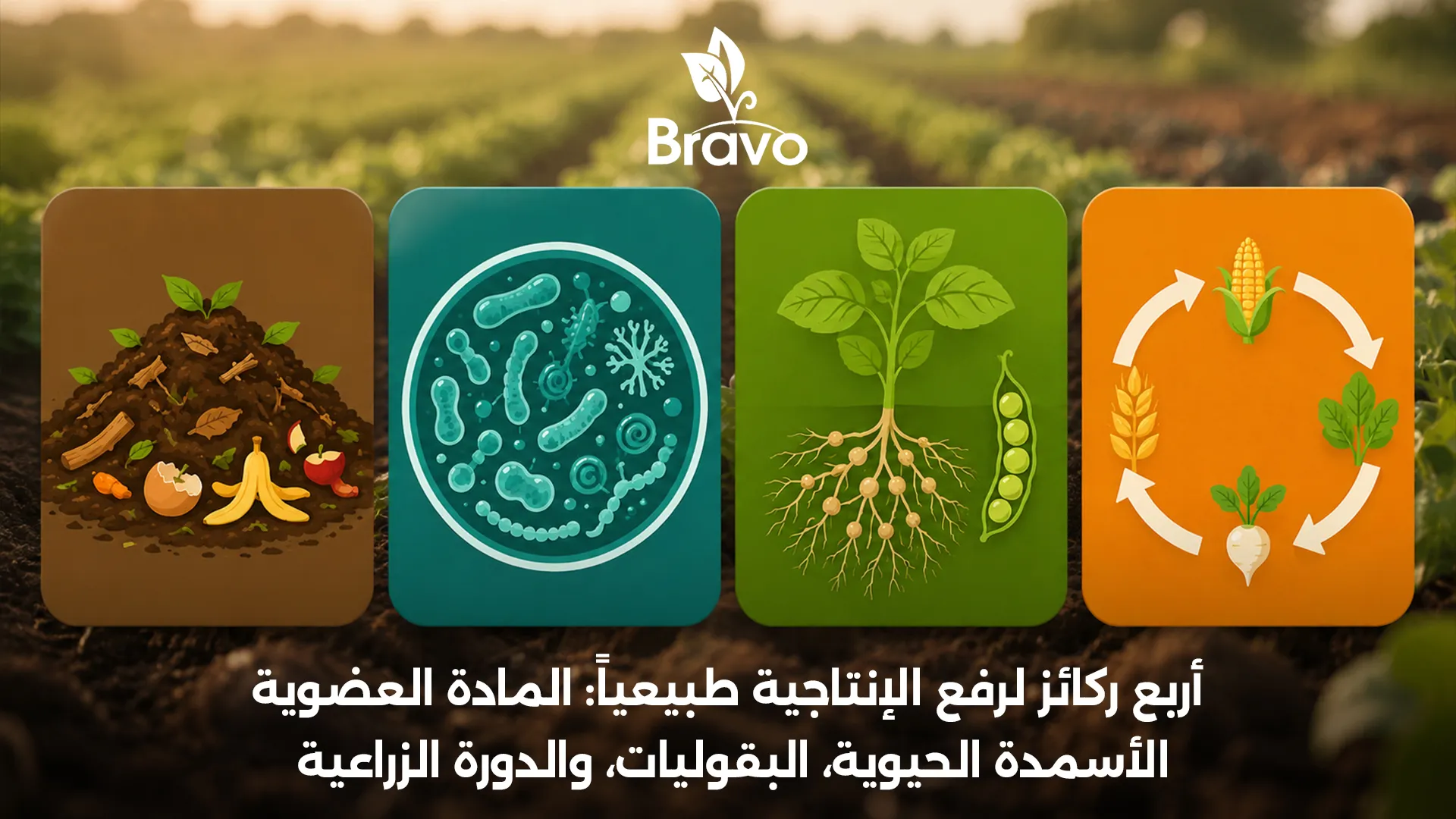 طرق زيادة إنتاجية الفدان بدون كيماويات: الكمبوست والأسمدة الحيوية والبقوليات والدورة الزراعية