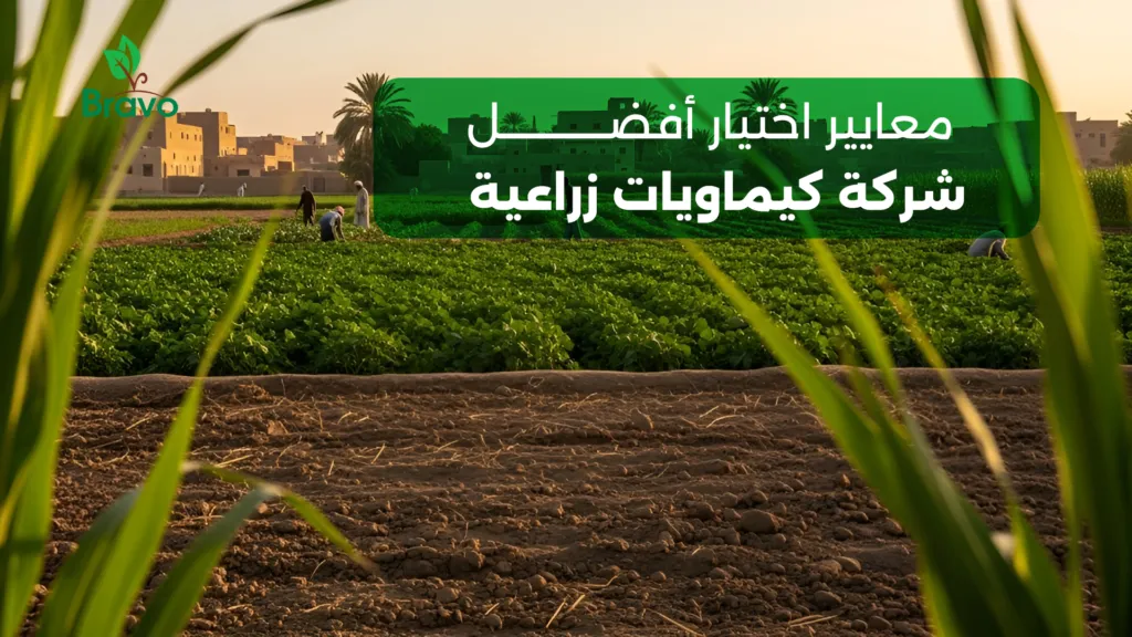 معايير اختيار أفضل شركة كيماويات زراعية