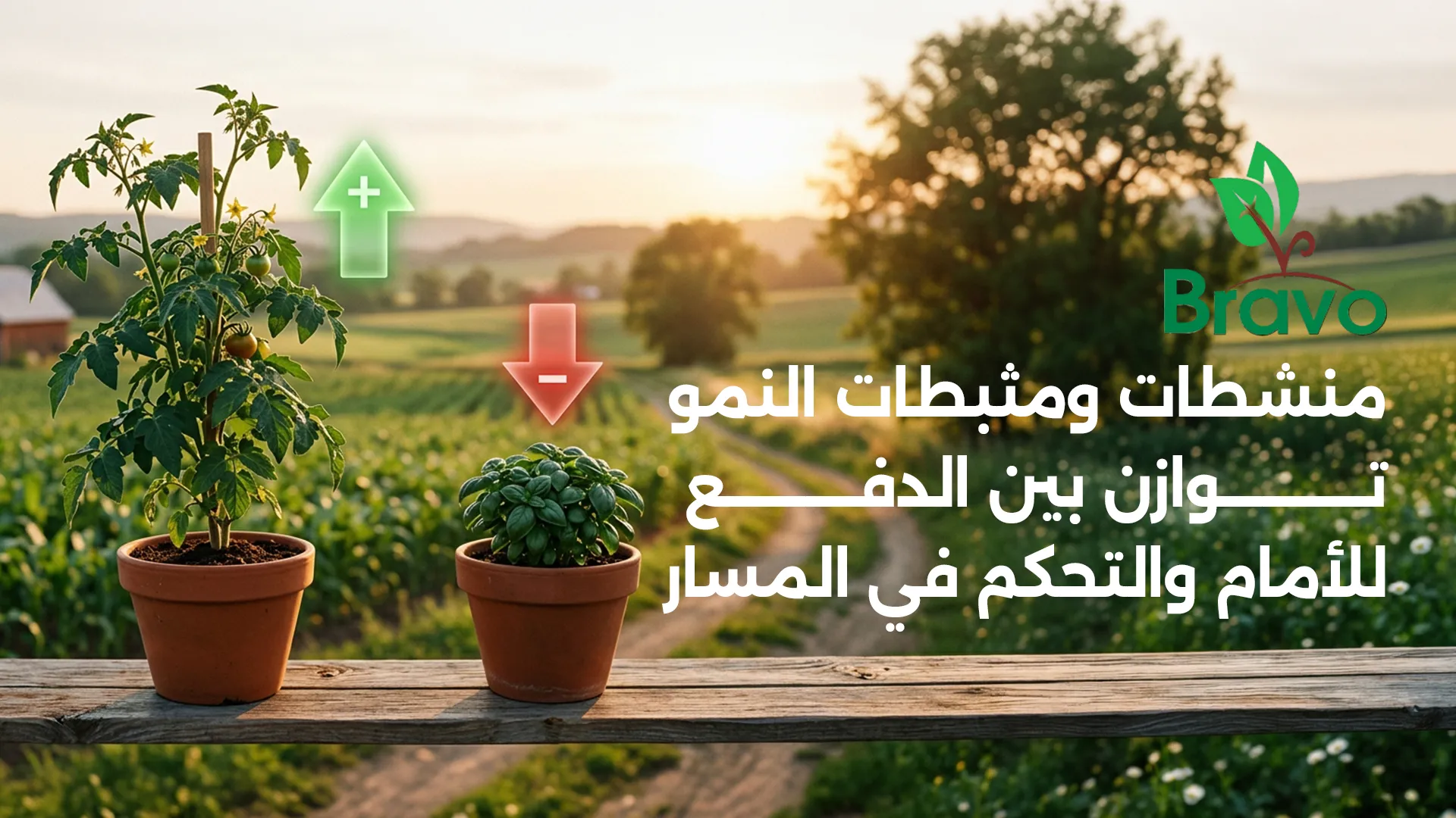 منشطات ومثبطات النمو في النبات مع برافو للكيماويات الزراعية