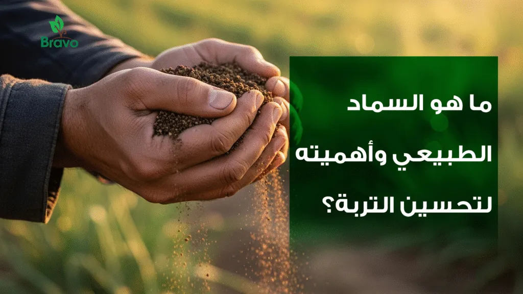 ما هو السماد الطبيعي وأهميته لتحسين التربة؟