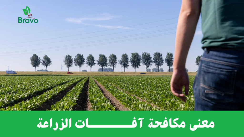 معنى مكافحة آفات الزراعة