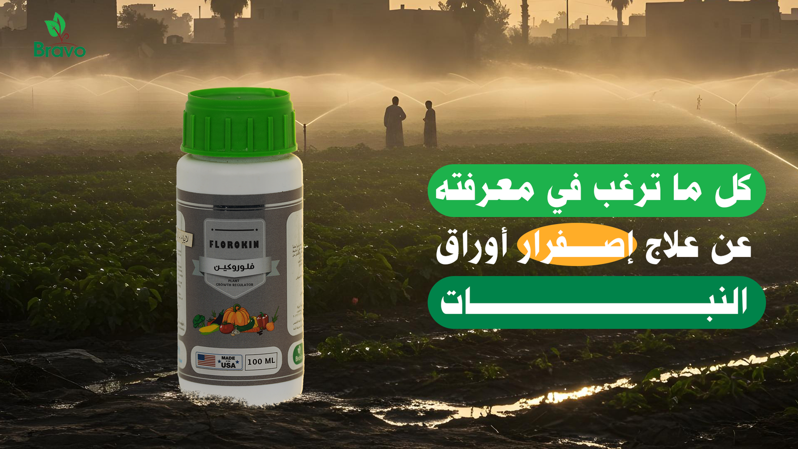 علاج اصفرار أوراق النبات