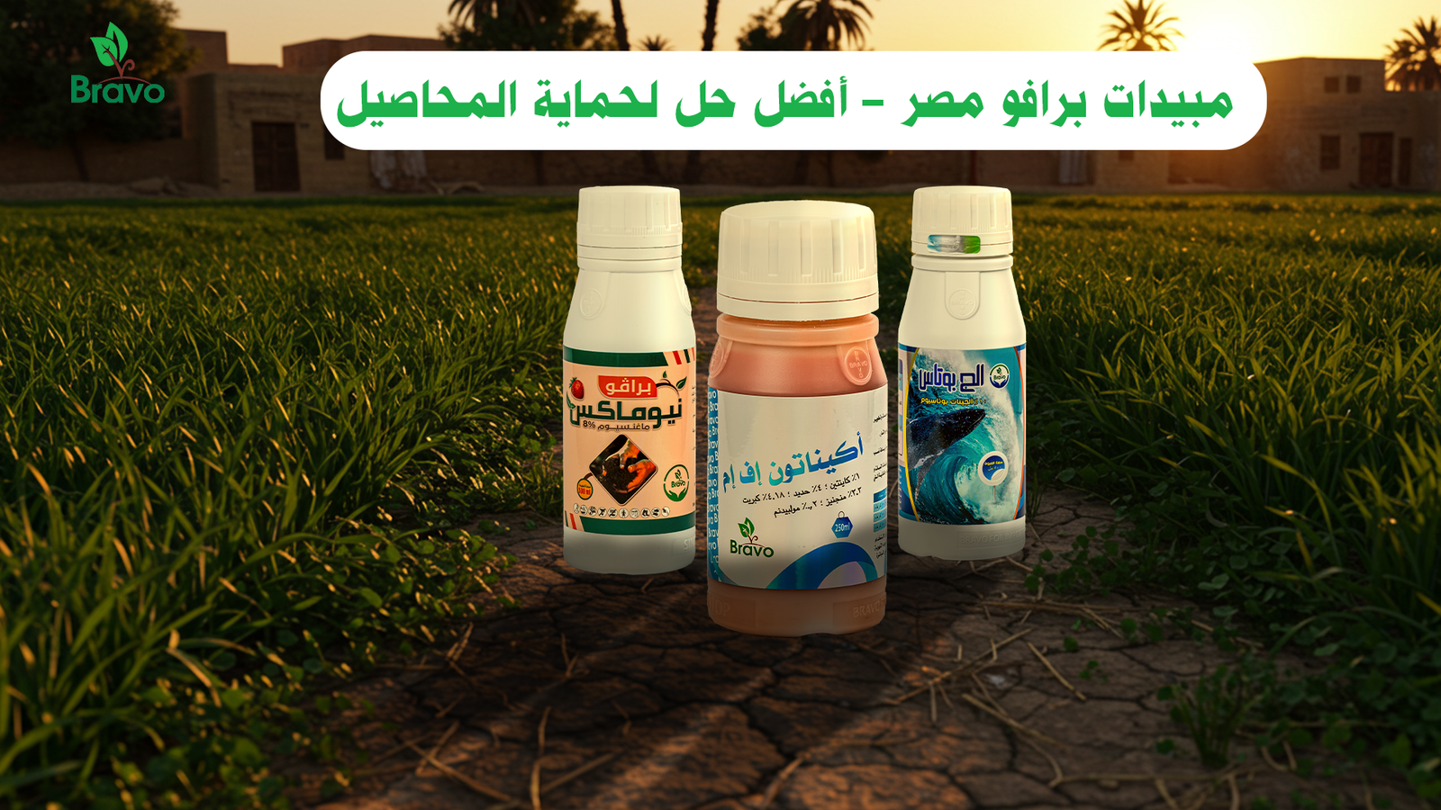 مبيدات برافو مصر