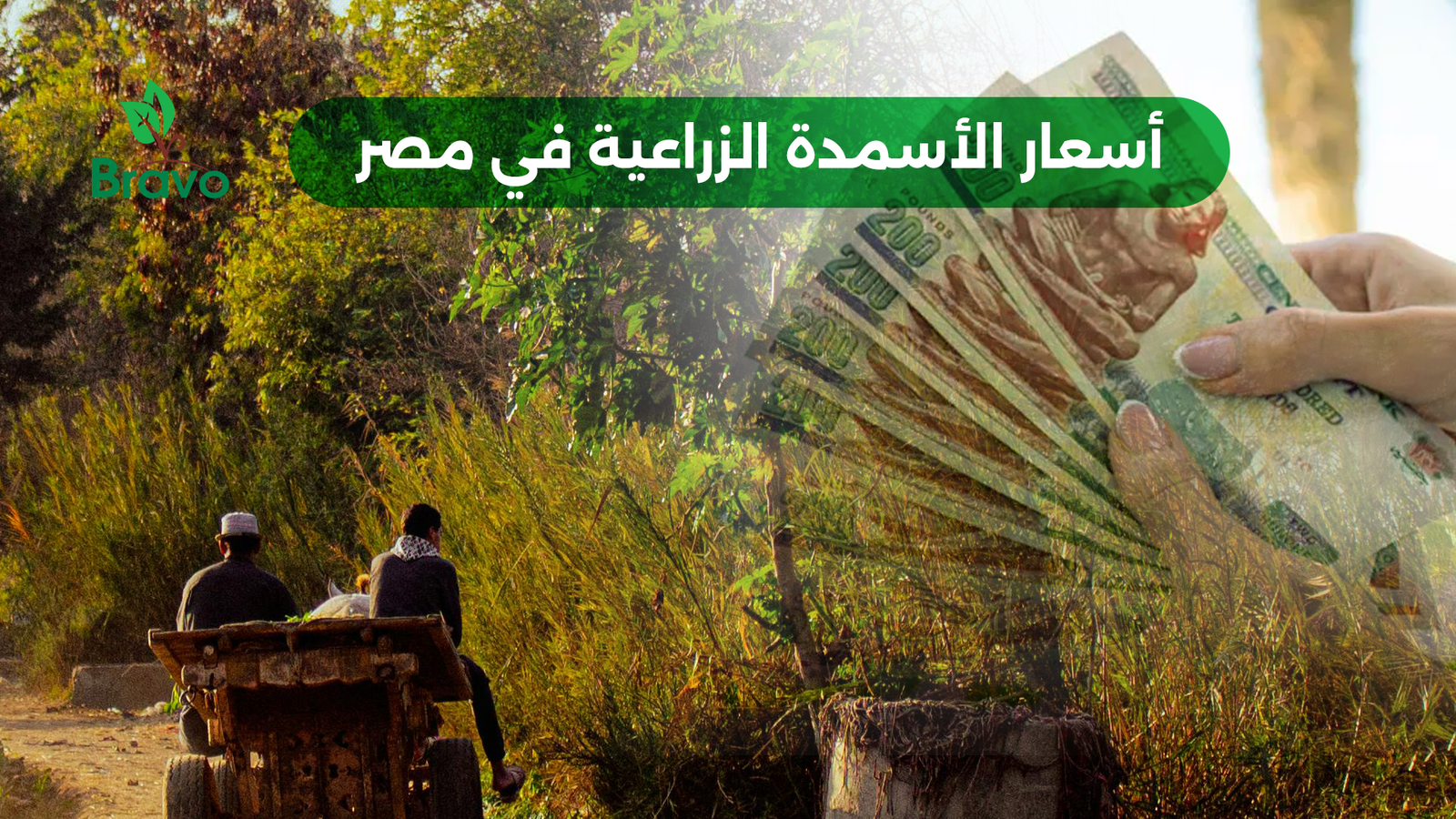 أسعار الأسمدة الزراعية في مصر