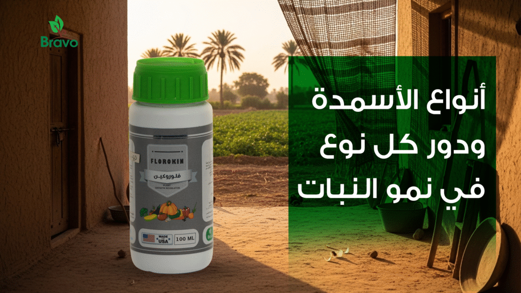 أنواع الأسمدة ودور كل نوع في نمو النبات